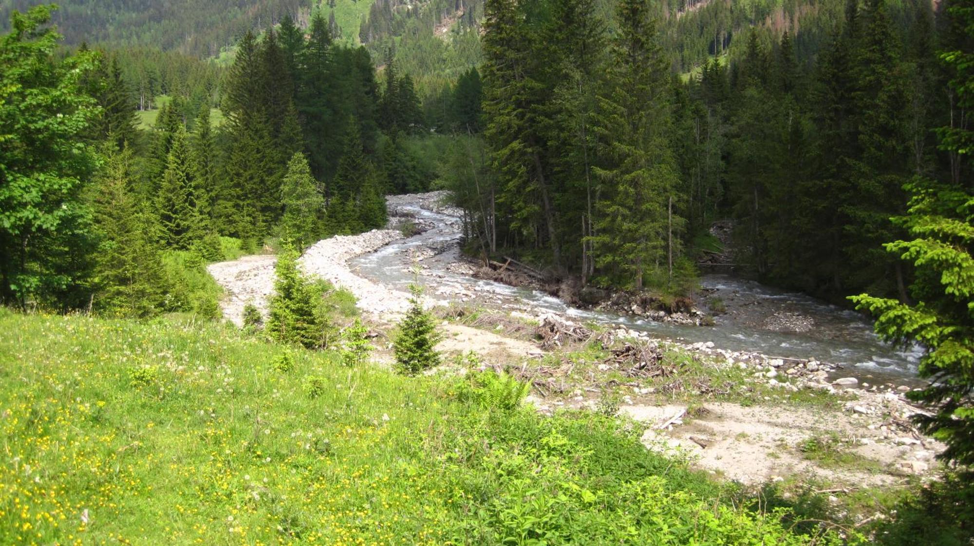 Alpengasthof Gutenbrunn * Mallnitz